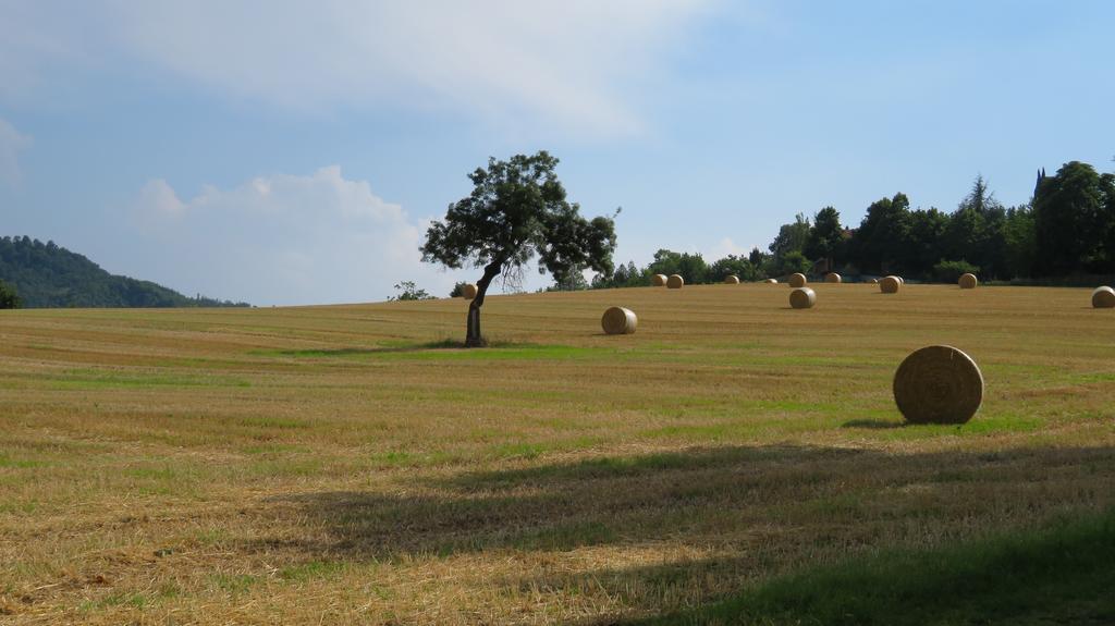Farm stay Gli Ulivi Monteveglio
