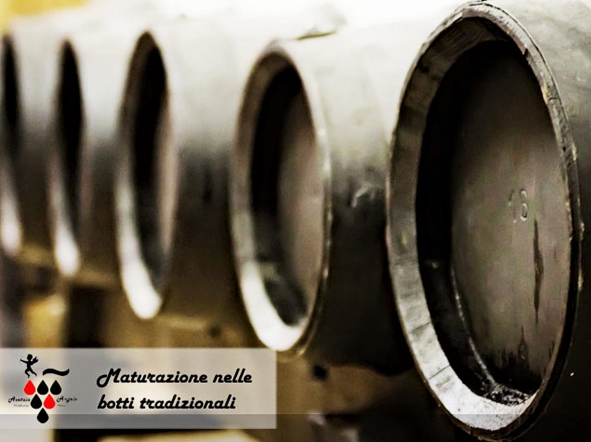 Farm stay Gli Ulivi *